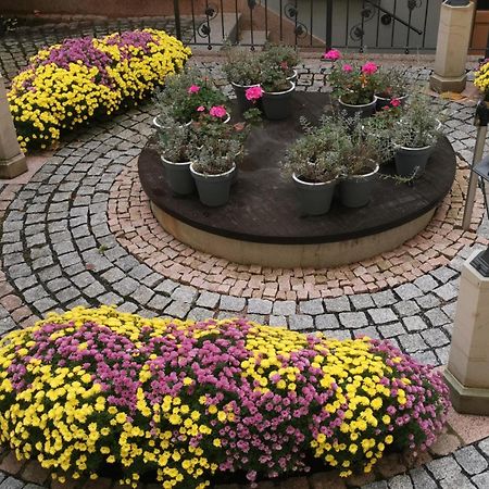 Altstadtidyll Meissen Bagian luar foto