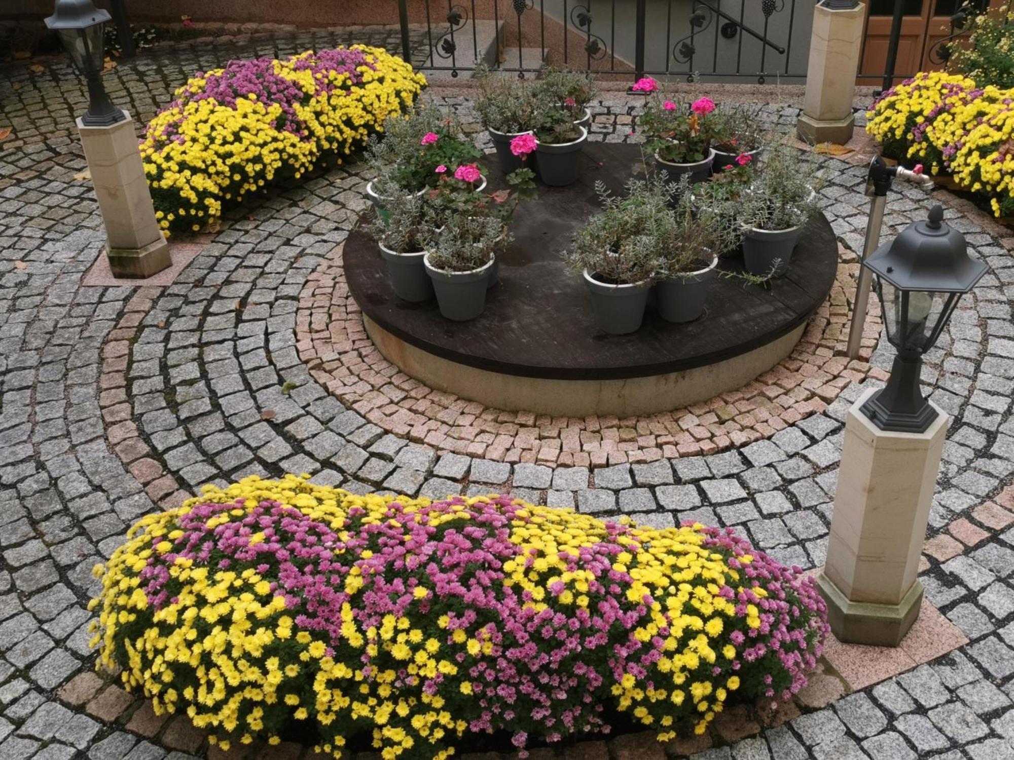 Altstadtidyll Meissen Bagian luar foto